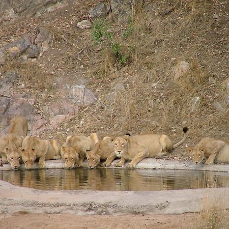 Rhino Post Safari Lodge Skukuza Dış mekan fotoğraf