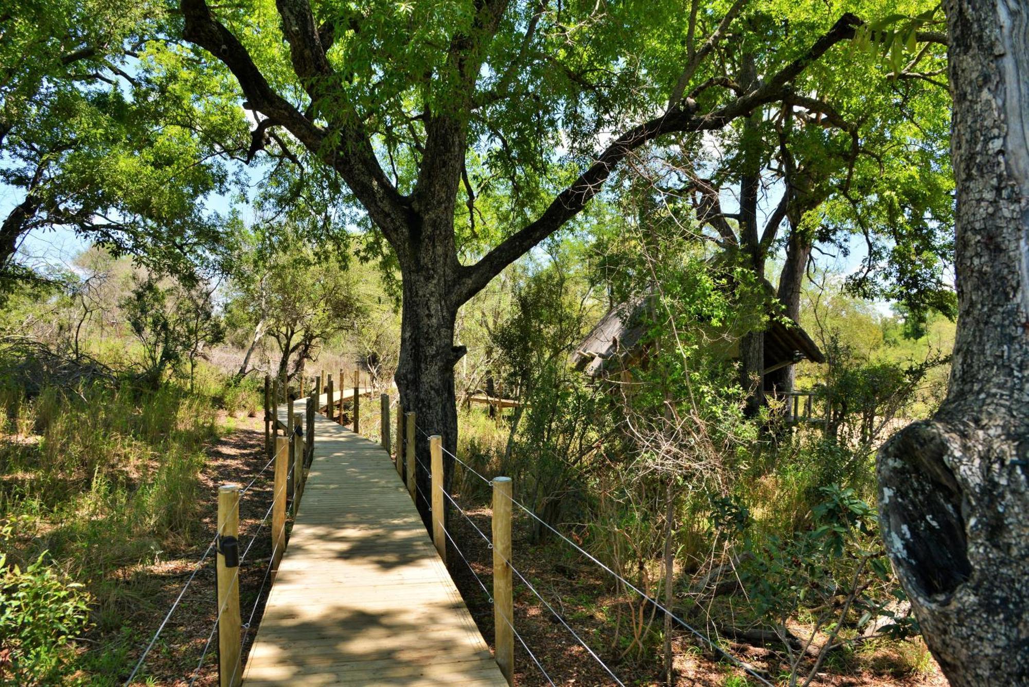 Rhino Post Safari Lodge Skukuza Dış mekan fotoğraf