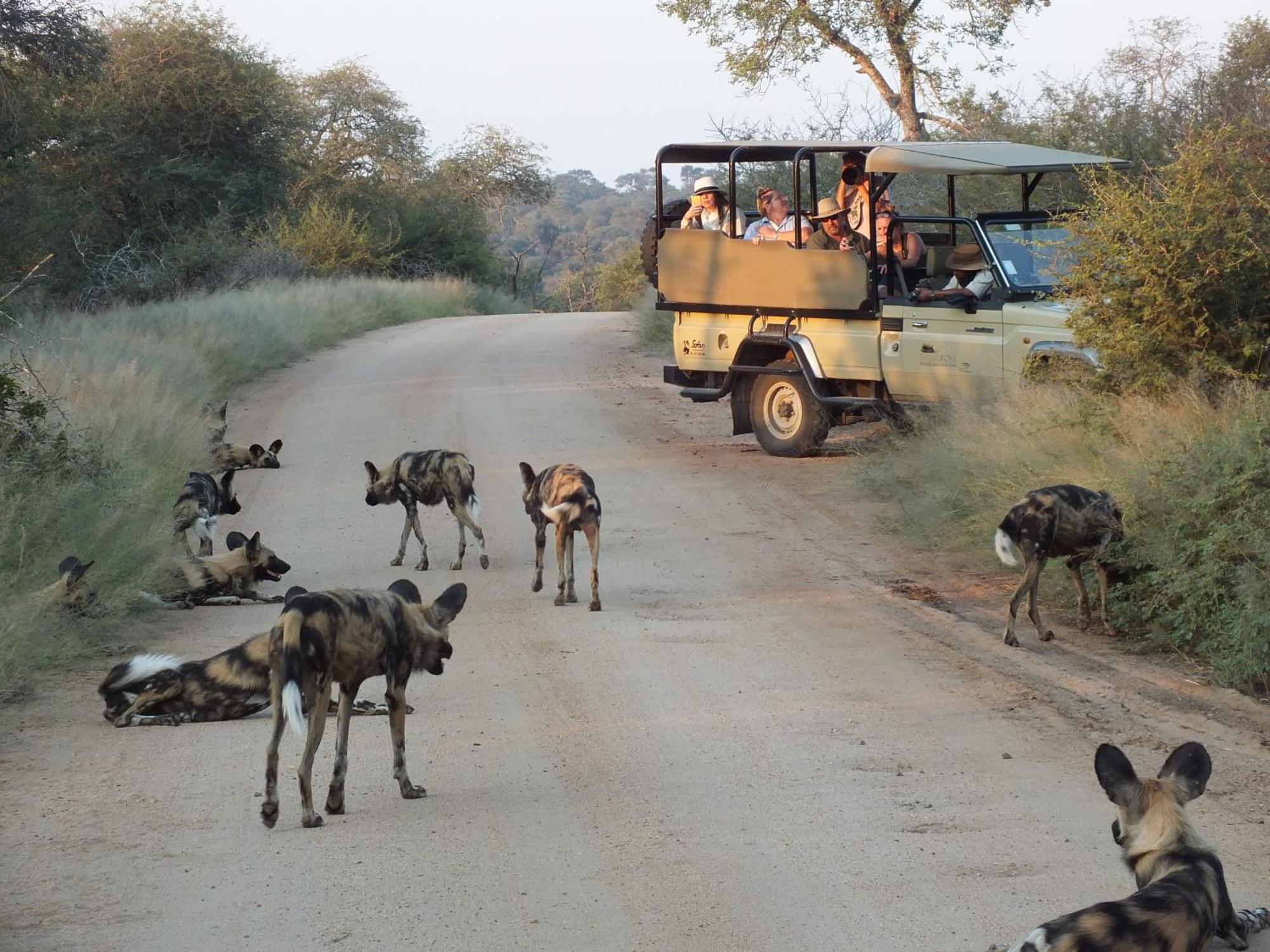 Rhino Post Safari Lodge Skukuza Dış mekan fotoğraf