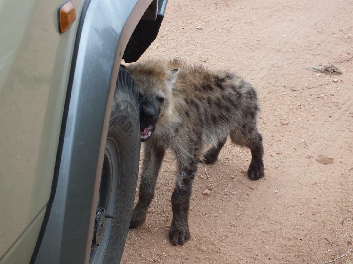 Rhino Post Safari Lodge Skukuza Dış mekan fotoğraf